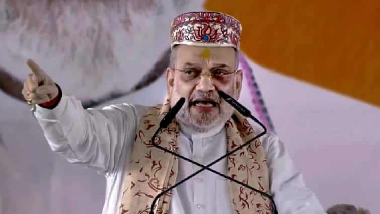 ‘They Would Never Have Removed Article 370’