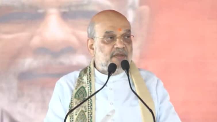 Amit Shah Fires Ammo At INDIA Bloc, Says Will Be Wiped Out In Bihar