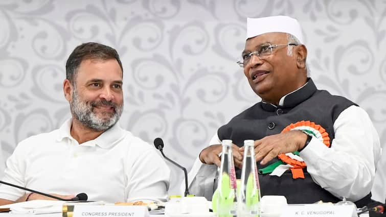 Bihar Elections Rahul Gandhi To Rally INDIA Bloc After Chhath Puja Amidst Ticket Sale Allegations