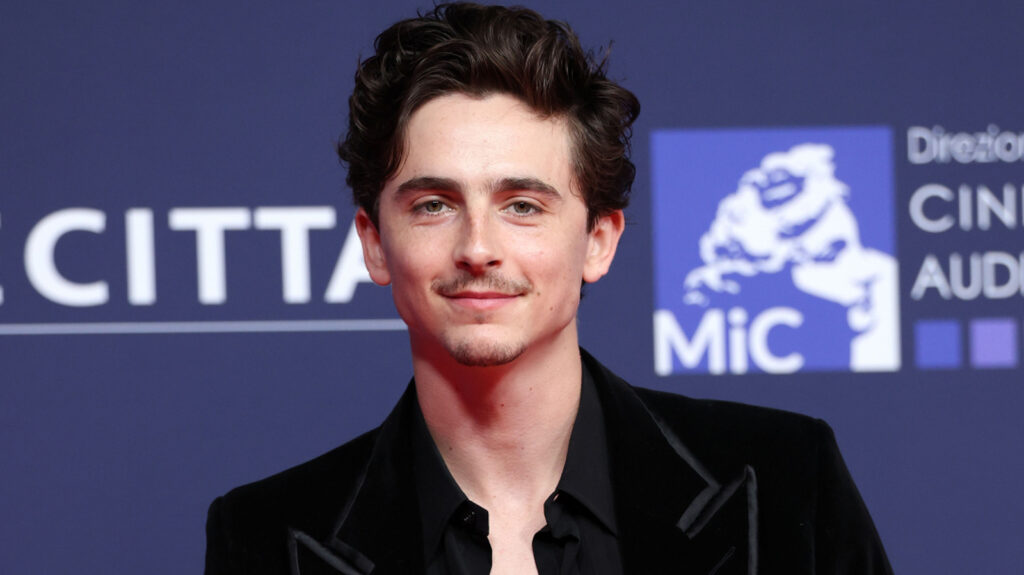 Timothee Chalamet’s Favorite Movie Is The Best Superhero Film Ever Made