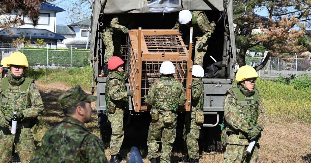 Japan deploys the military to counter a surge in bear attacks