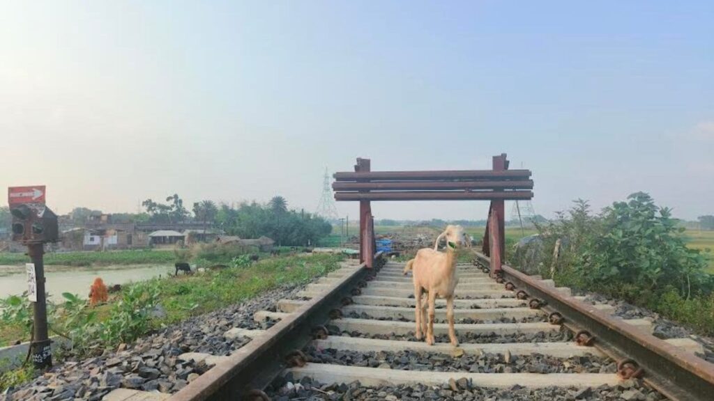 3 Railway Ministers, and 28-year wait for lines: Bihar’s long track record | Political Pulse News