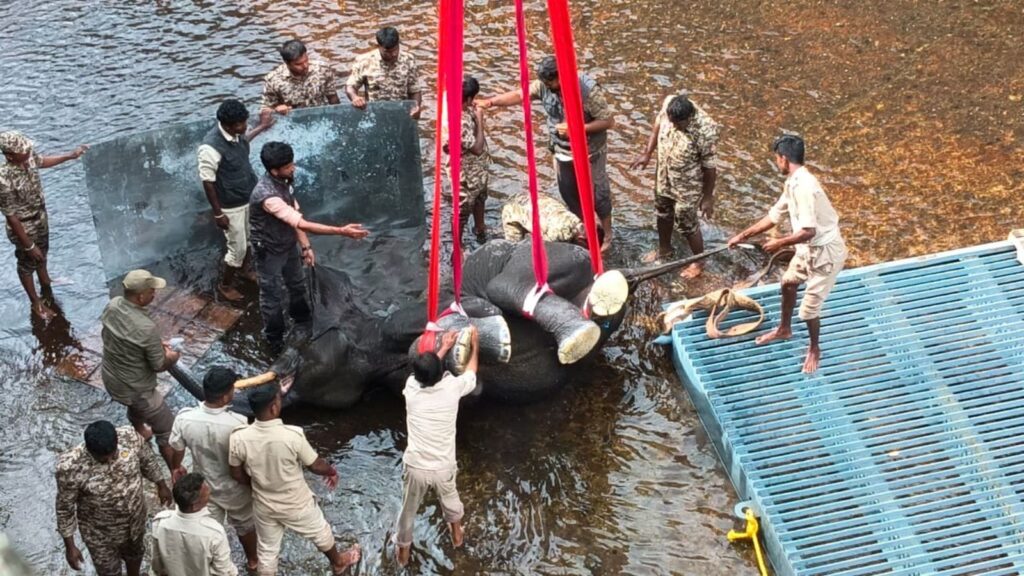 Hydraulic crane, over 100 personnel, a dose of sedative: elephant trapped in Karnataka canal rescued after 2 days | Bangalore News