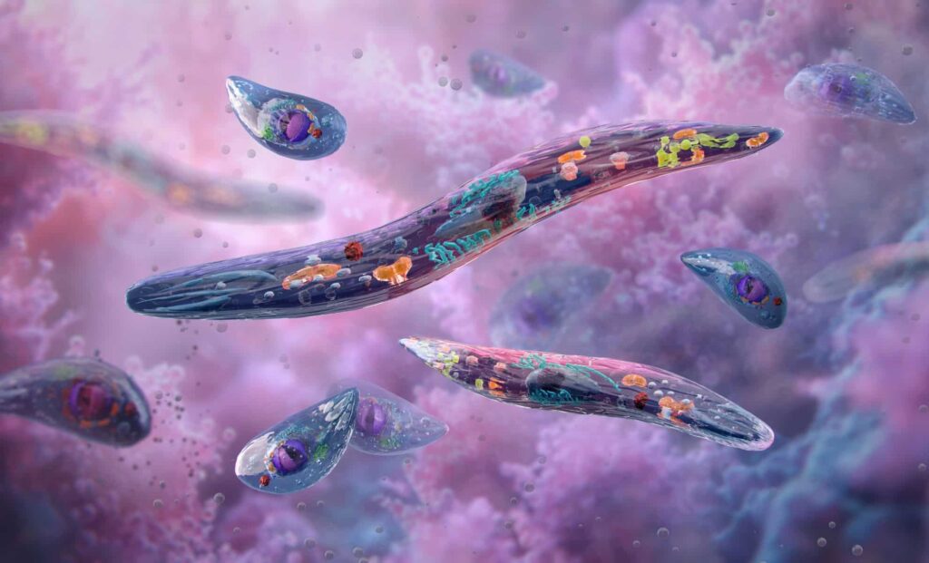 New Malaria Treatment Could Save Hundreds of Thousands of Lives