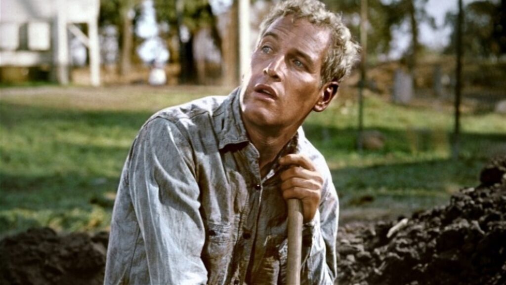 Cool Hand Luke’s ‘What We’ve Got Here Is Failure To Communicate’ Line Holds A Rare Honor