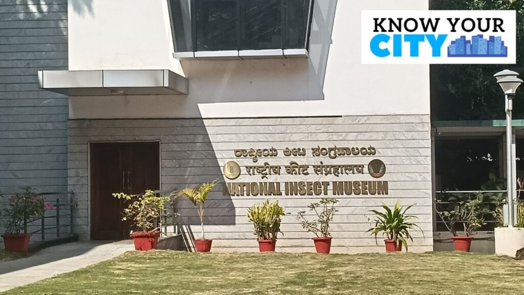Know Your City: Learn about evolution, diversity, and economic significance of insects at this Bengaluru museum | Bangalore News