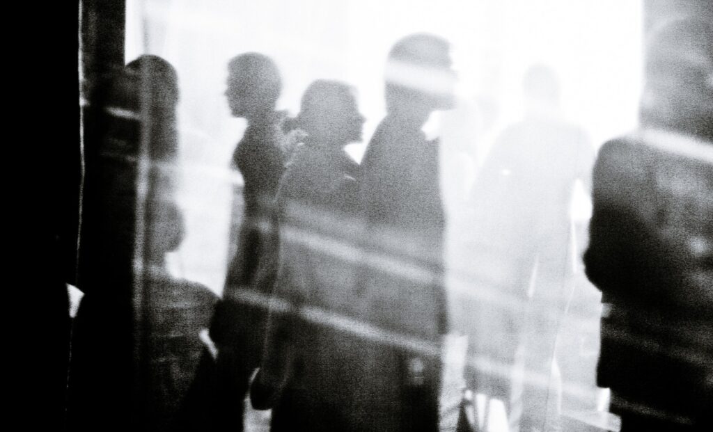 Scientists Say This Arctic Animal’s DNA Could Be the Secret to Human Longevity