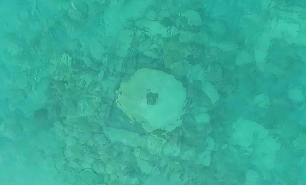 Is This the Real Atlantis? Scientists Find Submerged City in Central Asia