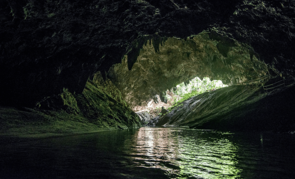 Two Dragon-Like Creatures Just Emerged From Thailand’s Caves