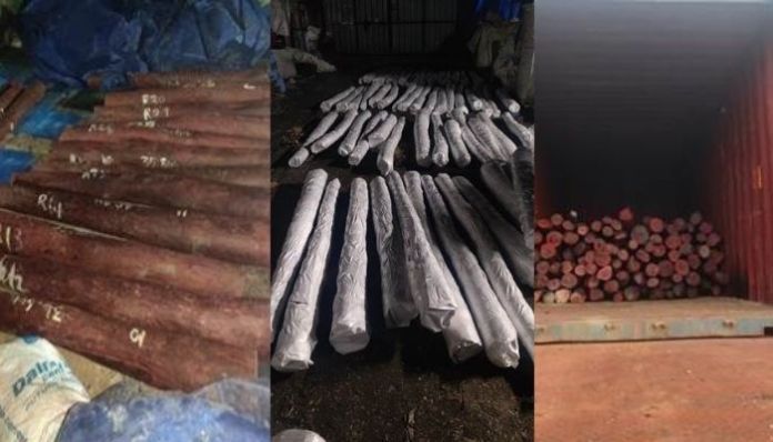 ‘Pushpa’ gang busted: DRI seizes red sanders worth ₹6.26 crore, four arrested while trying to smuggle restricted high-value wood