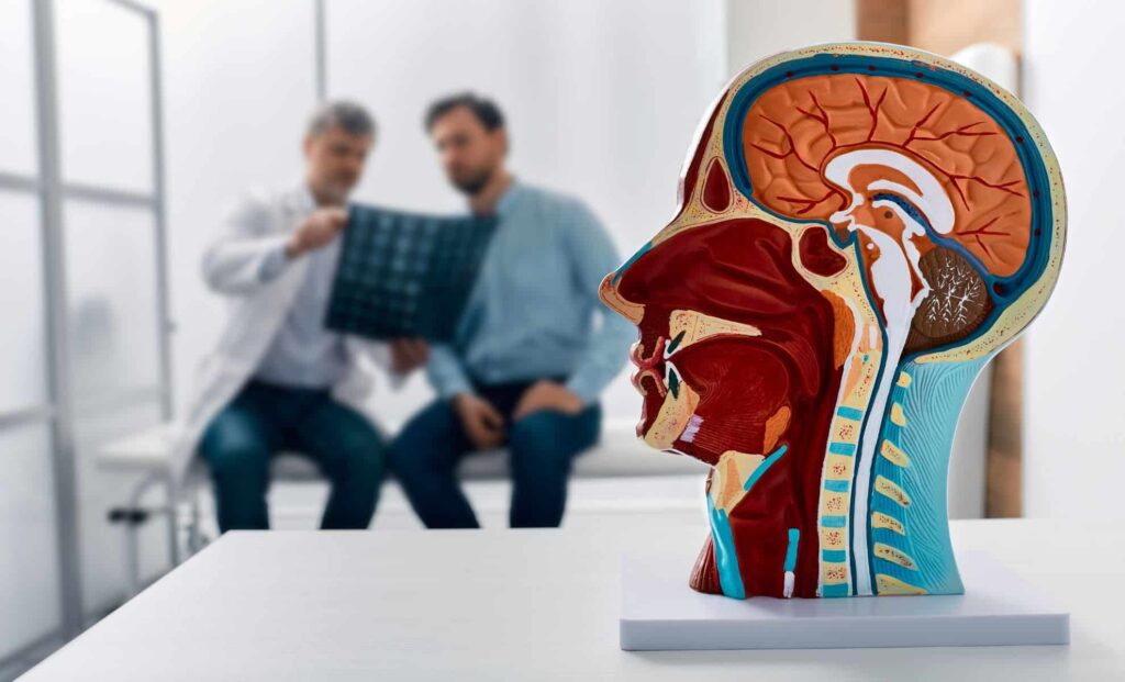 Scientists Just Found a Hidden Brain Switch That Clears Alzheimer’s Plaques