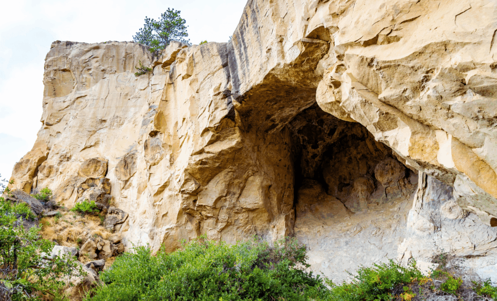 New Research Shakes Up Aging Theories