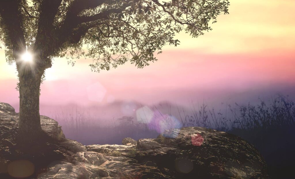 The 16th-Century Theory That Eden Was a Hidden Dutch Paradise