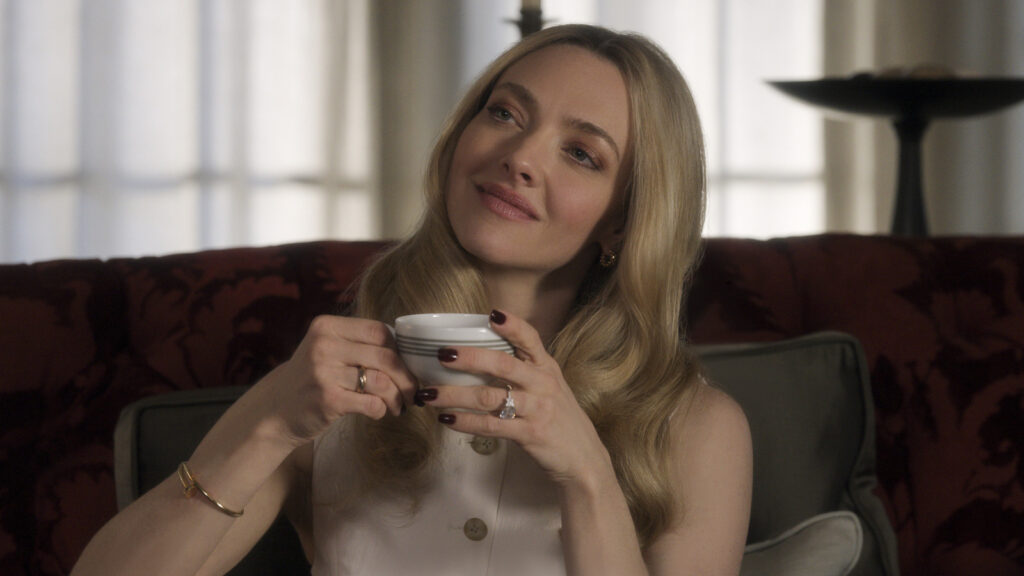 Amanda Seyfried Shines In Paul Feig’s Campy Thriller