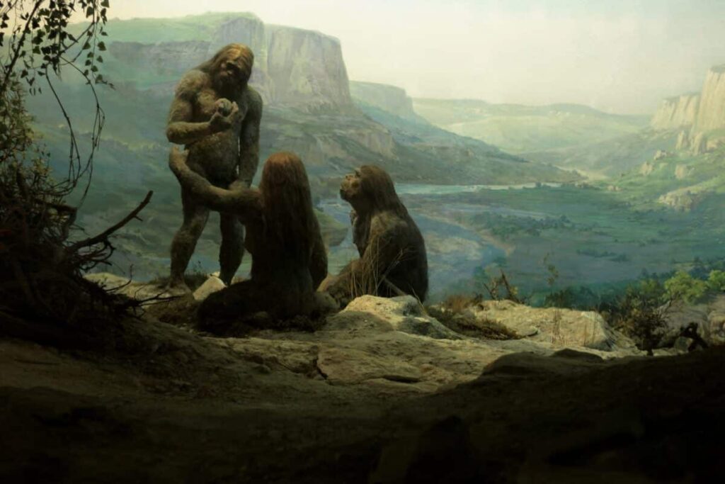 Neanderthals Faded from History—Not by War, But by Love?